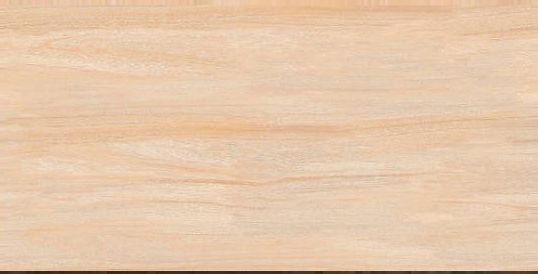 Keramik lantai CENTURY BG (30x60)